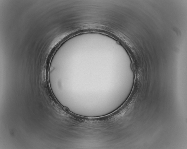 X0000111450877200907271228
