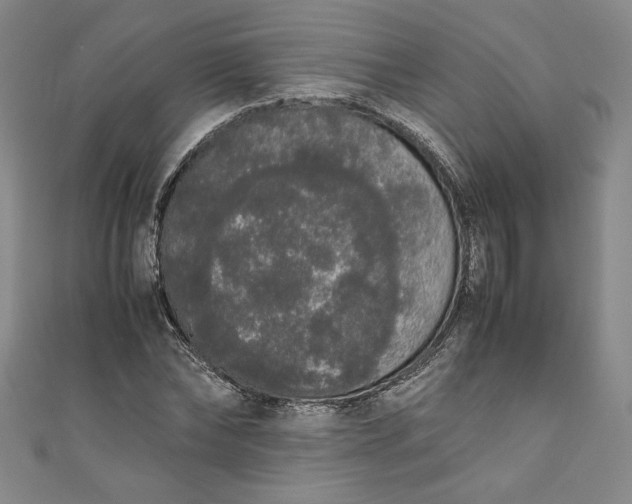 X0000111450878200907271228