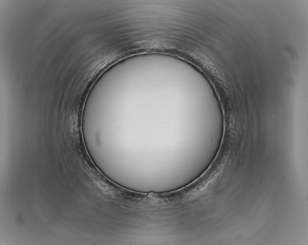 X0000111450881200907271228