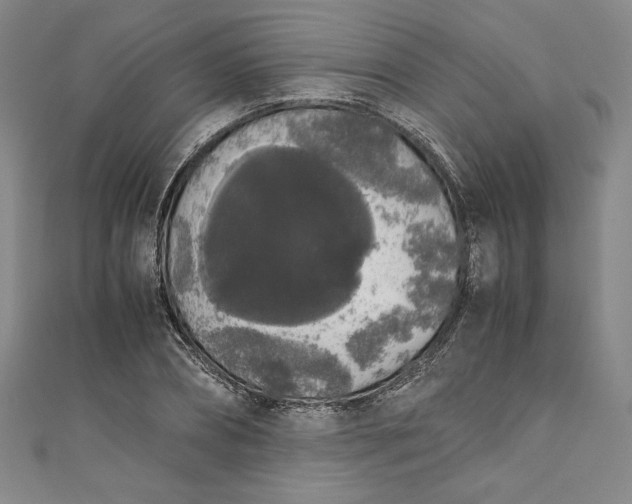 X0000111450882200907271228