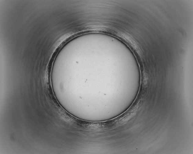 X0000111450883200907271228
