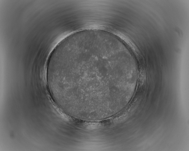 X0000111450886200907271228