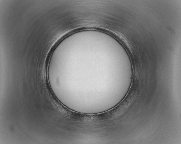 X0000111450887200907271228