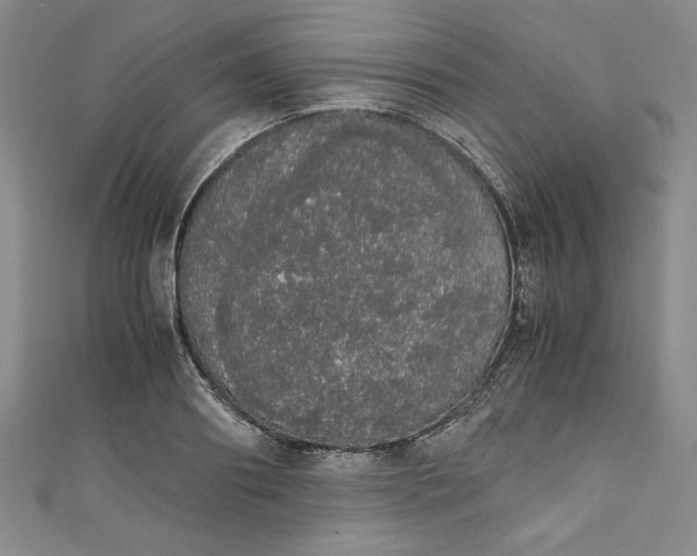 X0000111450890200907271228
