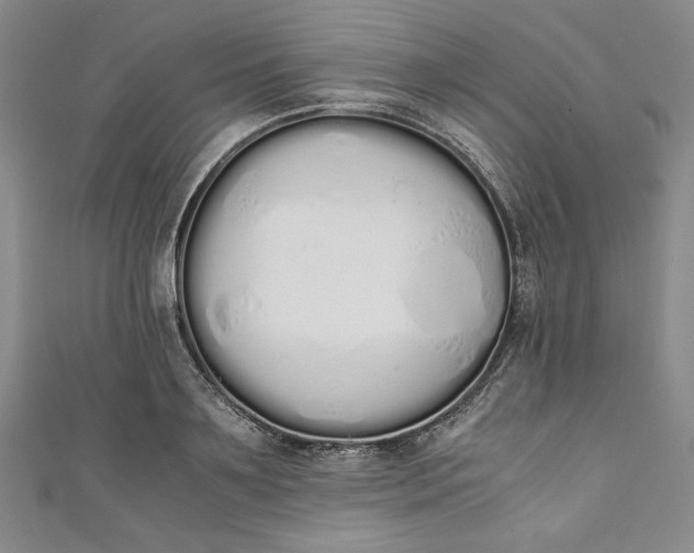 X0000111450891200907271228