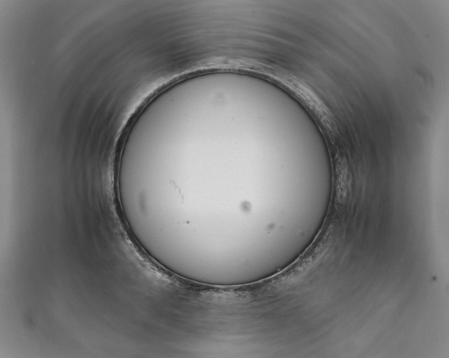 X0000111450896200907271228