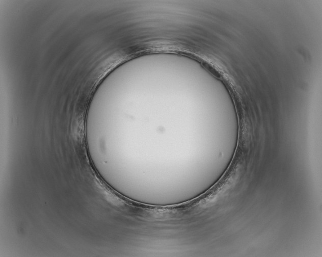 X0000111450897200907271228