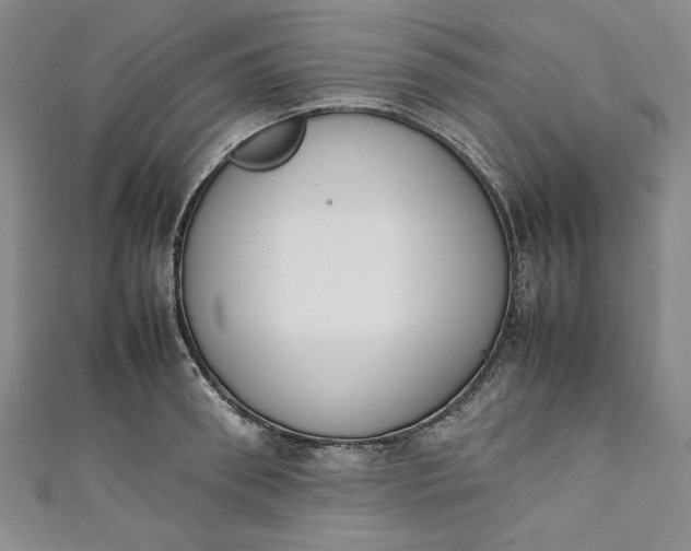 X0000111450898200907271228
