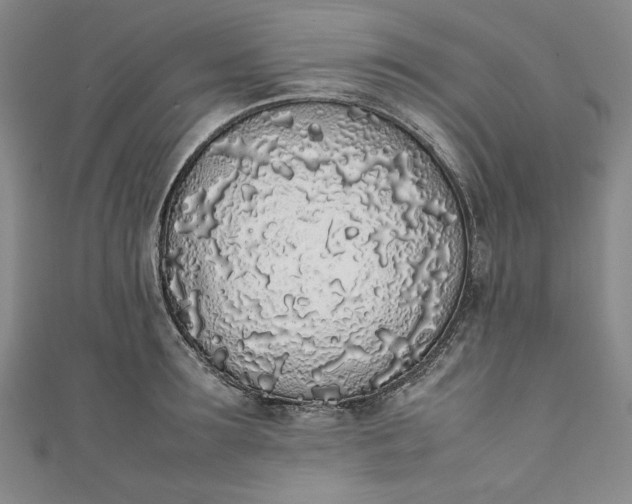 X0000111450899200907271228