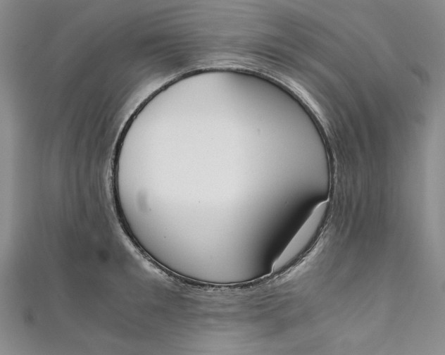 X0000111450901200907271228