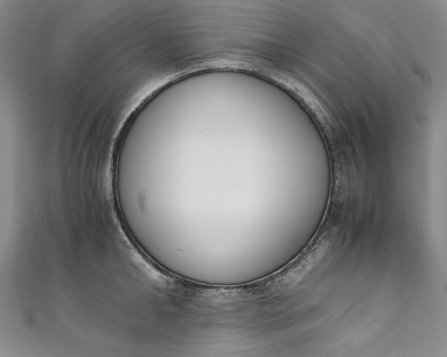 X0000111450902200907271228