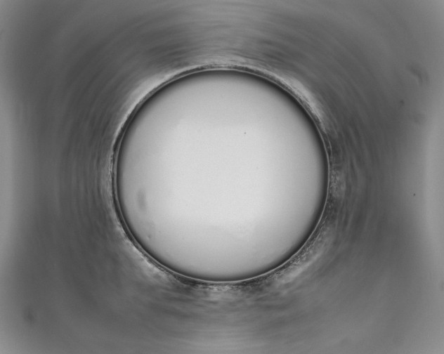 X0000111450903200907271228