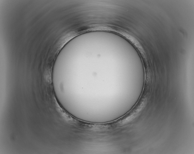 X0000111450905200907271228