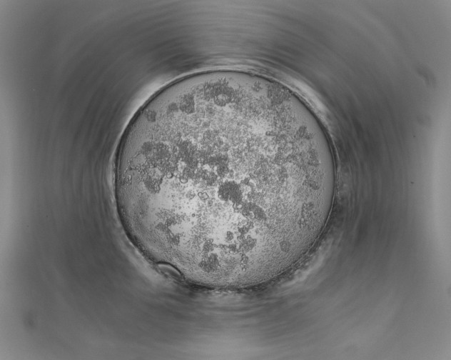 X0000111450907200907271228