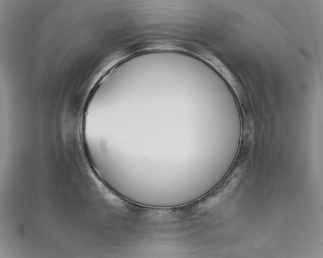 X0000111450909200907271228