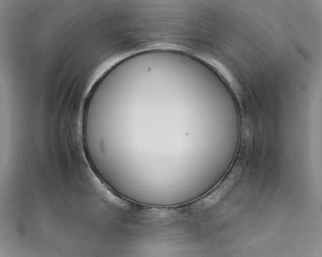 X0000111450910200907271228