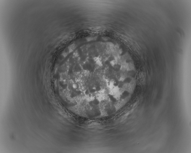 X0000111450913200907271227