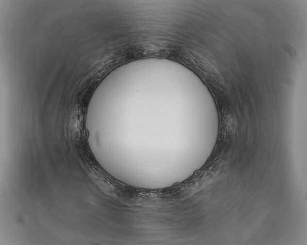 X0000111450914200907271227
