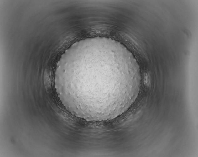 X0000111450915200907271227