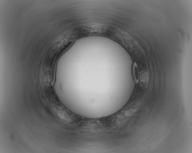 X0000111450916200907271227