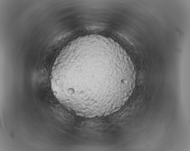 X0000111450917200907271227