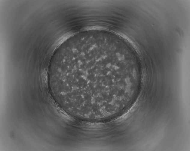 X0000111450921200907271227
