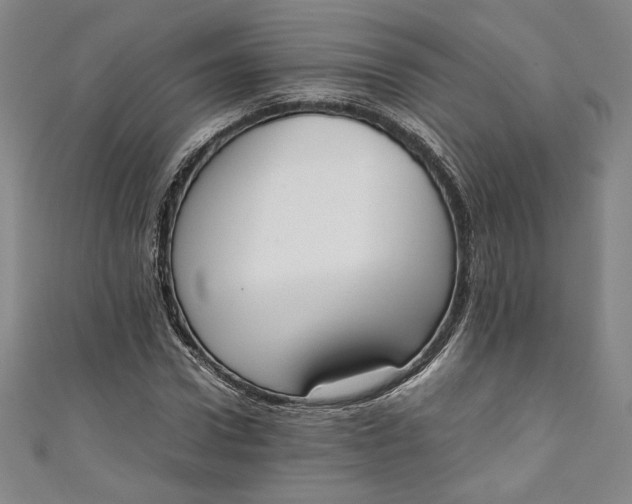 X0000111450922200907271227