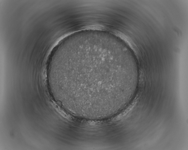 X0000111450923200907271227