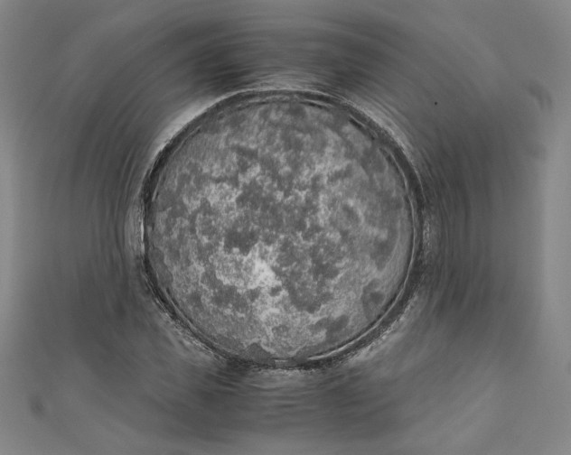 X0000111450925200907271227