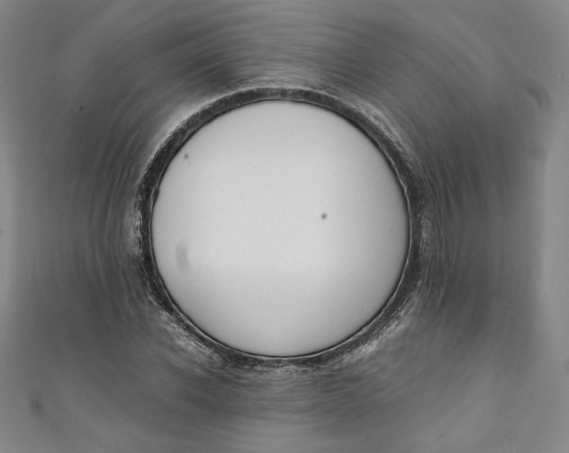 X0000111450926200907271227