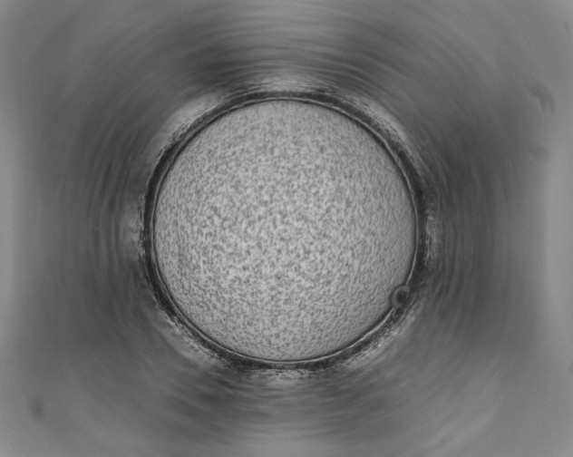 X0000111450930200907271227