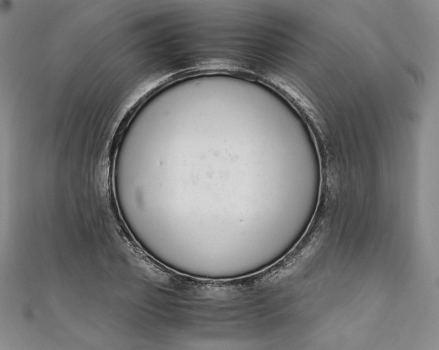 X0000111450933200907271227