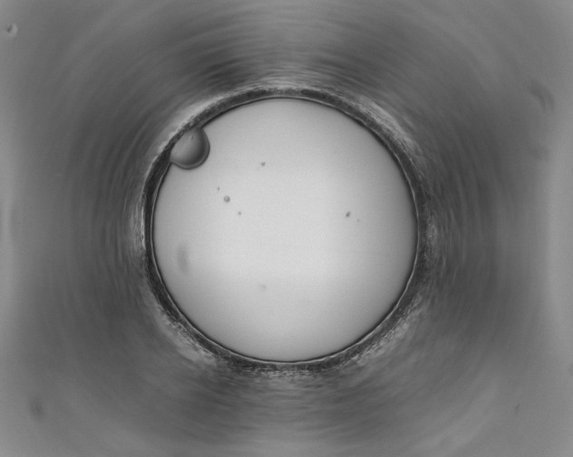 X0000111450934200907271227