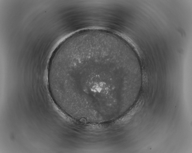 X0000111450935200907271228