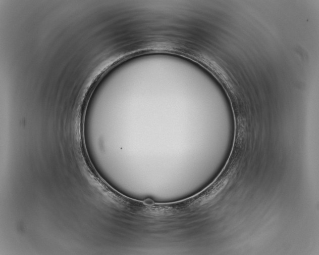 X0000111450939200907271228