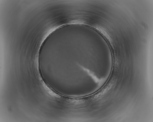 X0000111450941200907271228