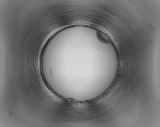X0000111450947200907271228