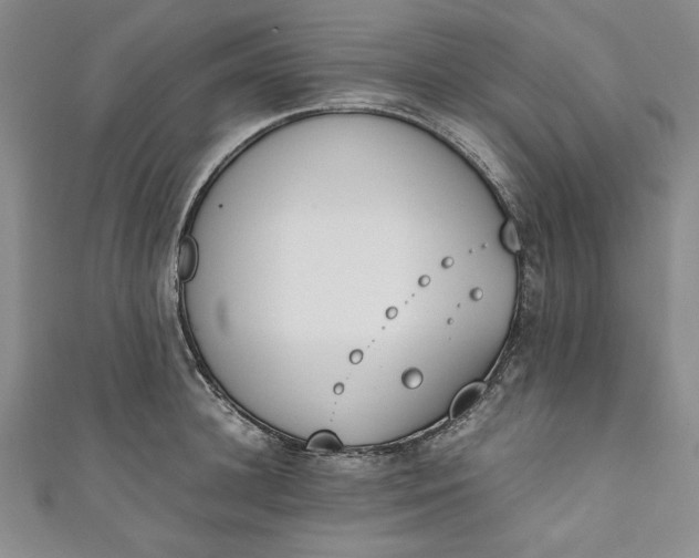 X0000111450948200907271228