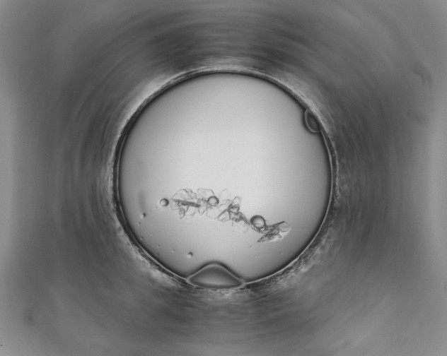 X0000111450949200907271228