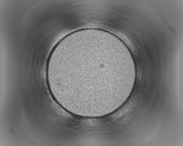 X0000111450950200907271228