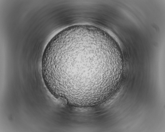 X0000111450951200907271228