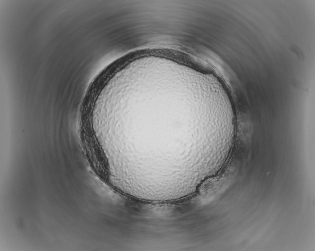 X0000111450952200907271228
