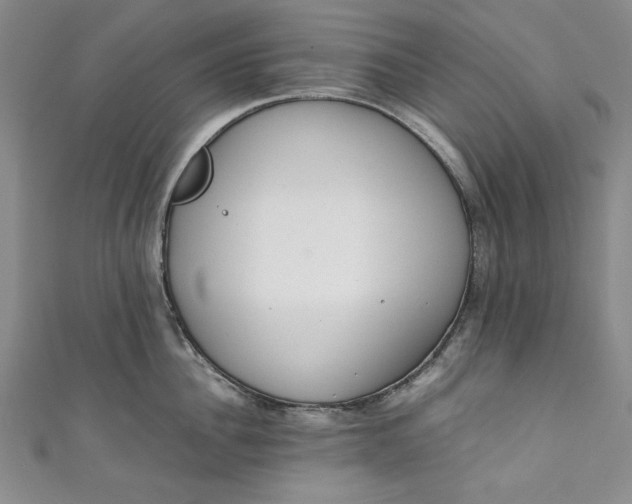 X0000111450956200907271228
