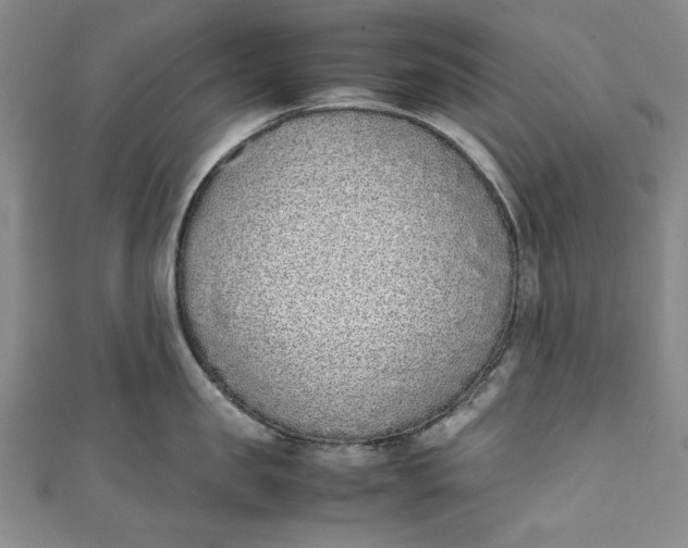 X0000111450957200907271228