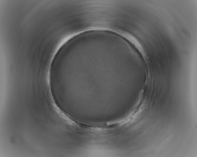 X0000111450958200907271228