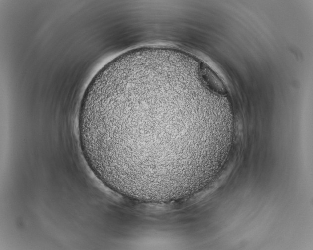X0000111450959200907271228