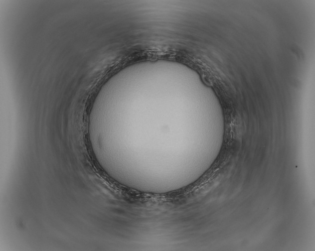X0000111450961200907271227