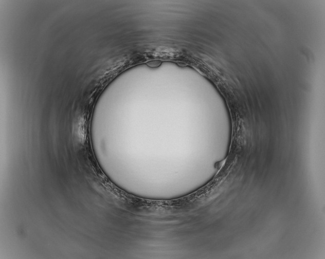 X0000111450962200907271227
