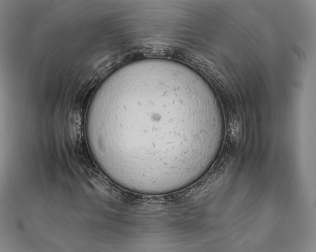 X0000111450964200907271227