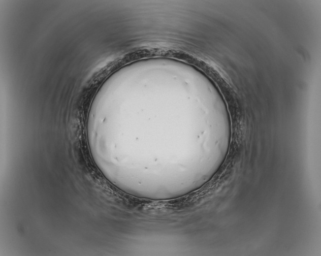 X0000111450967200907271227